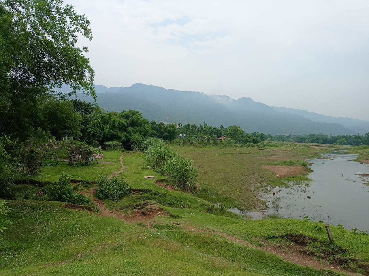 Sylhet’s quiet shimmer — where rivers flow like stories. - Sylhet, Bangladesh